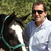 Cava Horse Coaching Cava Horse Coaching